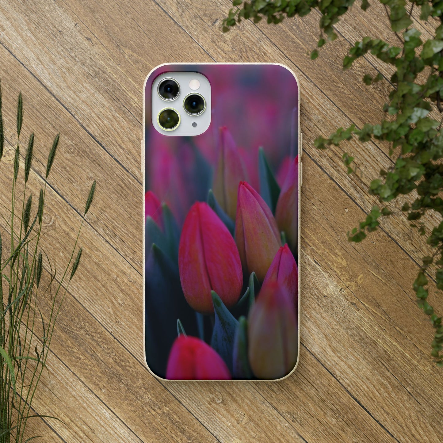 Biodegradable Cases- Tulip Design