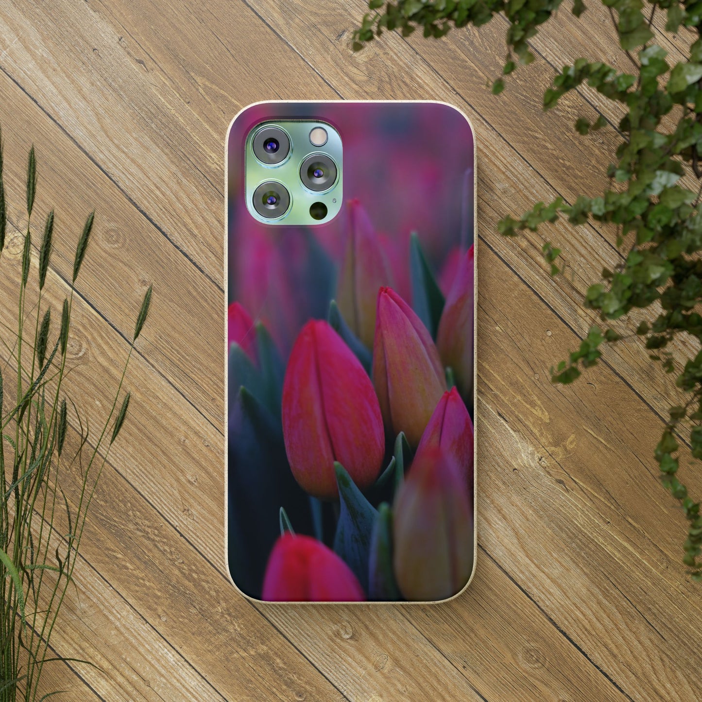 Biodegradable Cases- Tulip Design