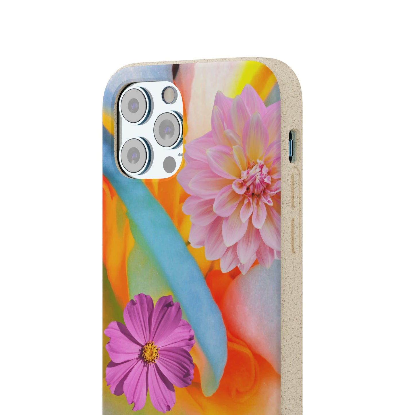 Biodegradable Cases- Sustainable & Colorful