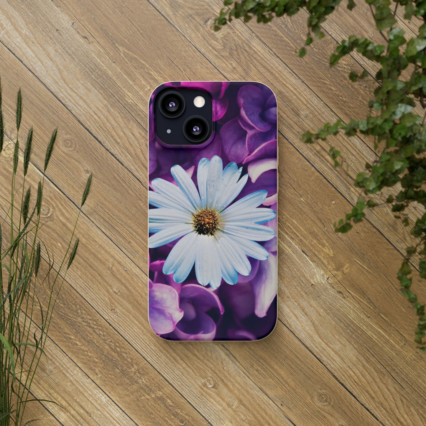 Biodegradable Cases- Daisy Design