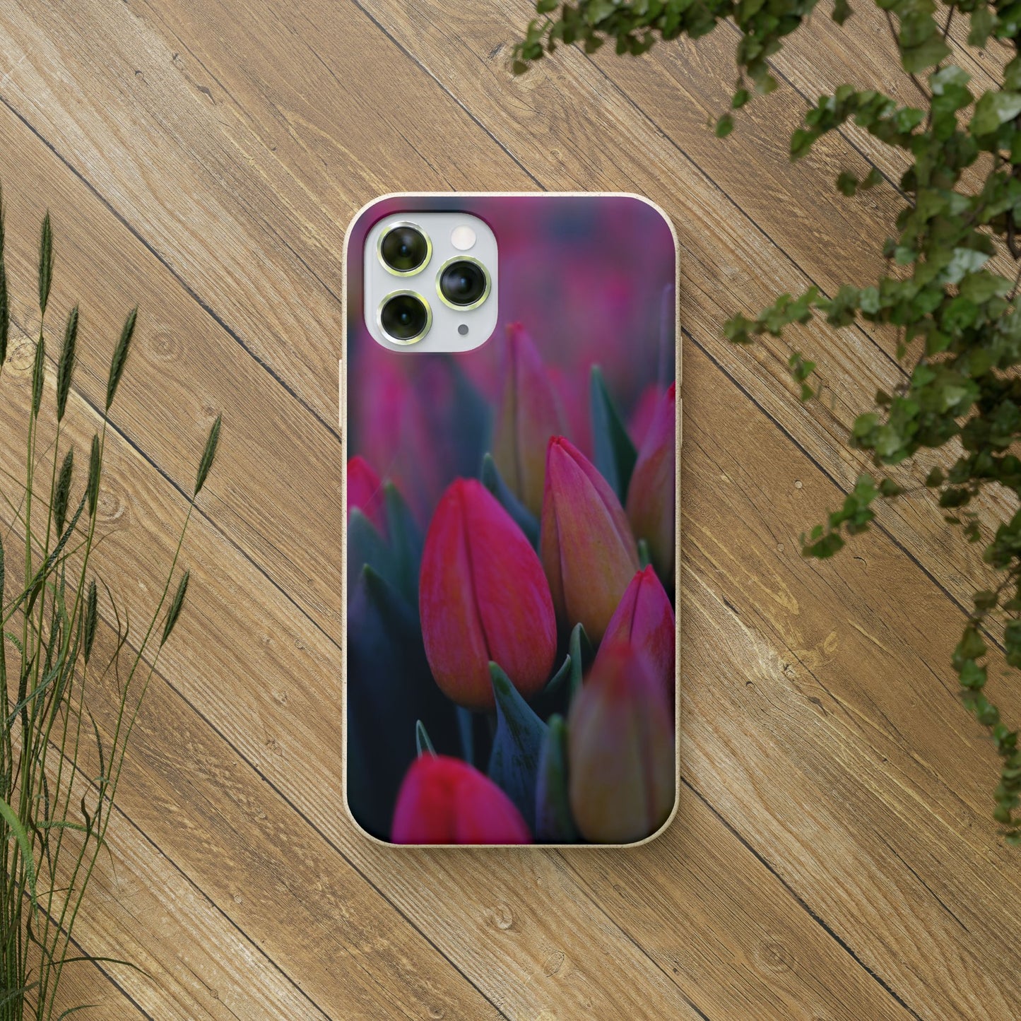 Biodegradable Cases- Tulip Design