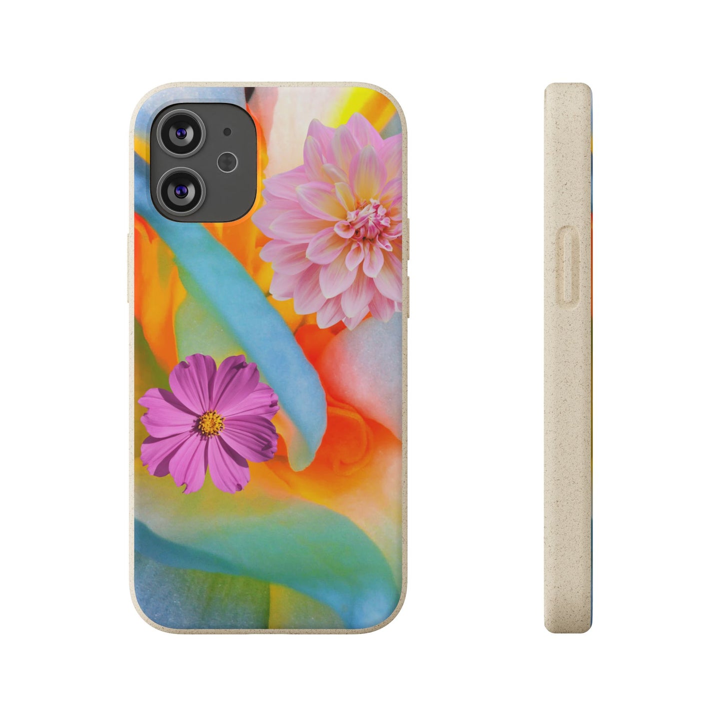 Biodegradable Cases- Sustainable & Colorful