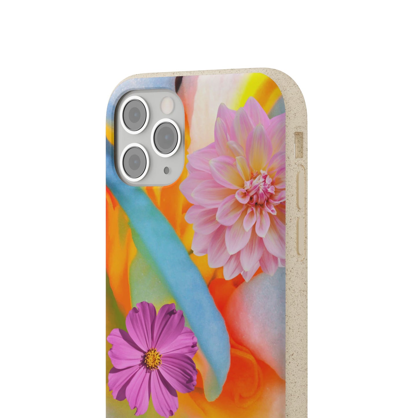 Biodegradable Cases- Sustainable & Colorful