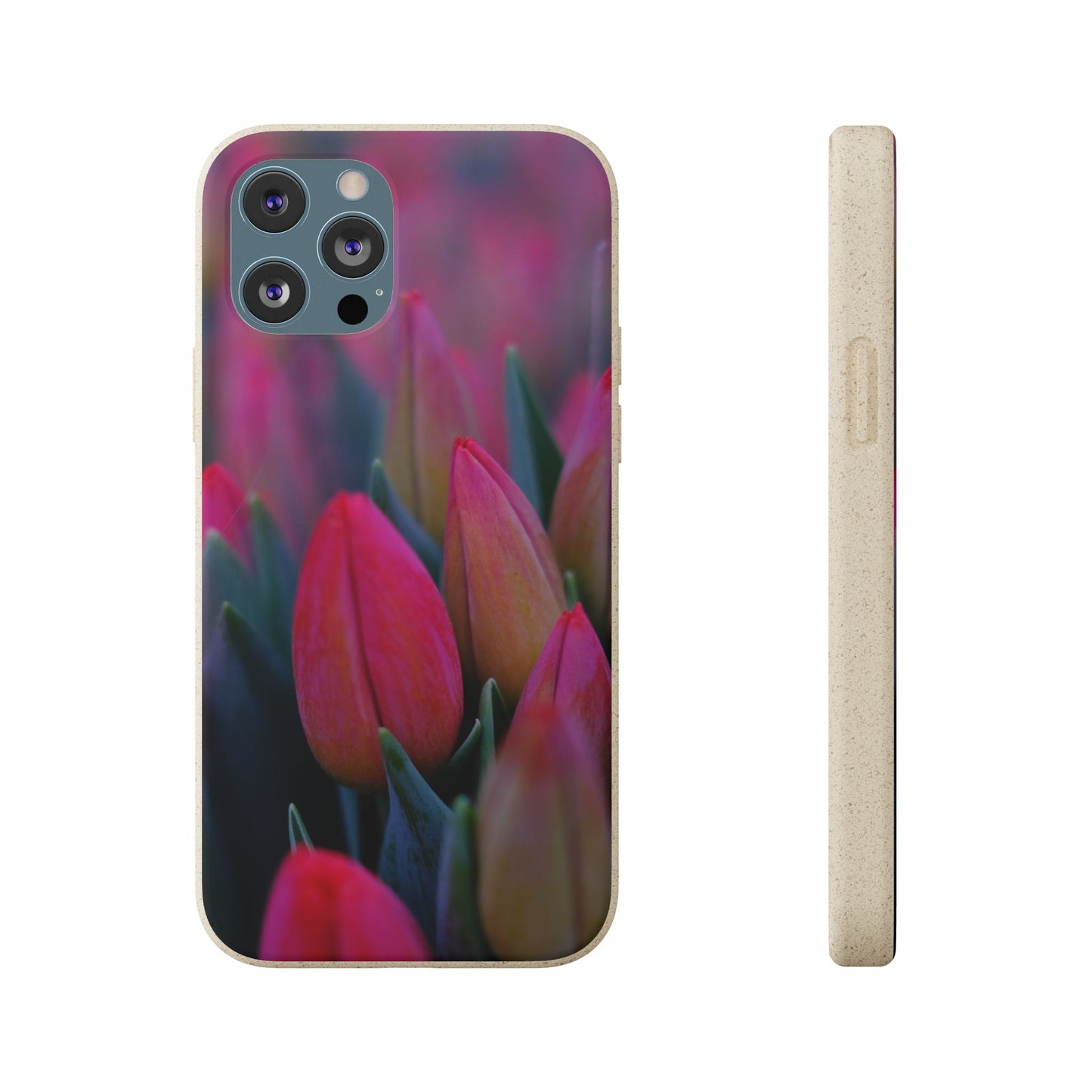 Biodegradable Cases- Tulip Design