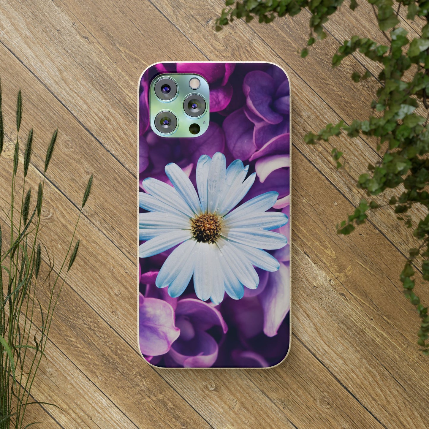 Biodegradable Cases- Daisy Design