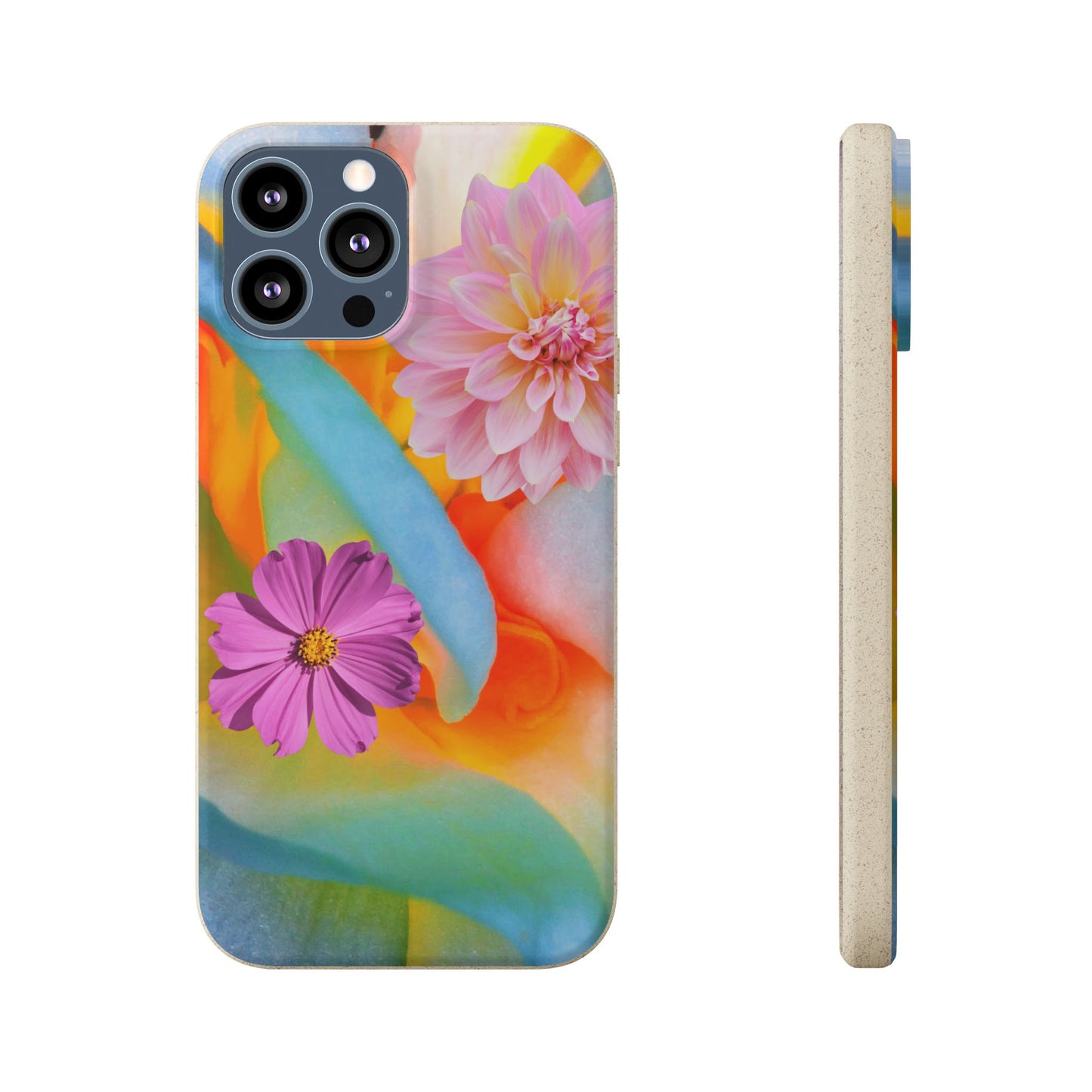 Biodegradable Cases- Sustainable & Colorful