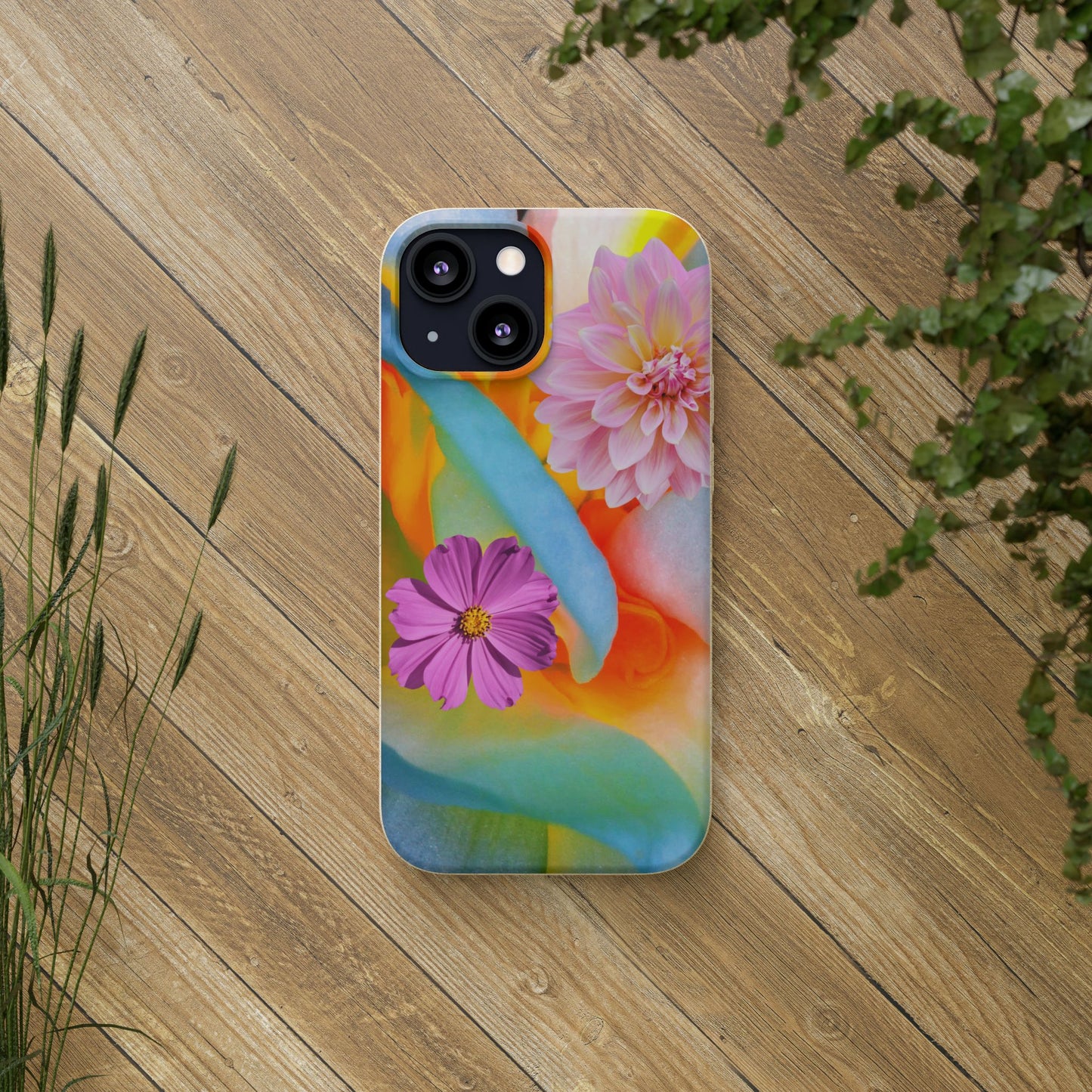 Biodegradable Cases- Sustainable & Colorful