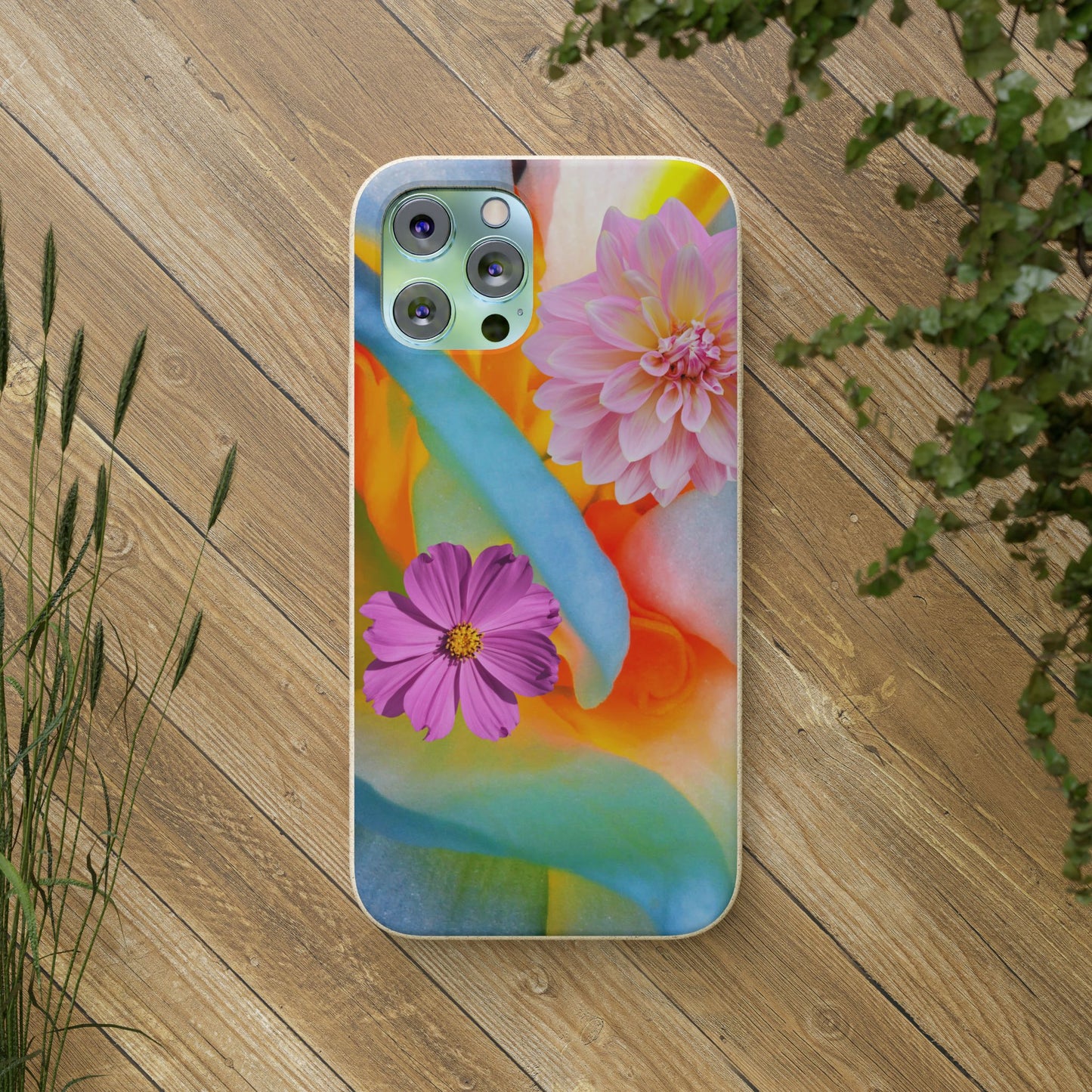 Biodegradable Cases- Sustainable & Colorful