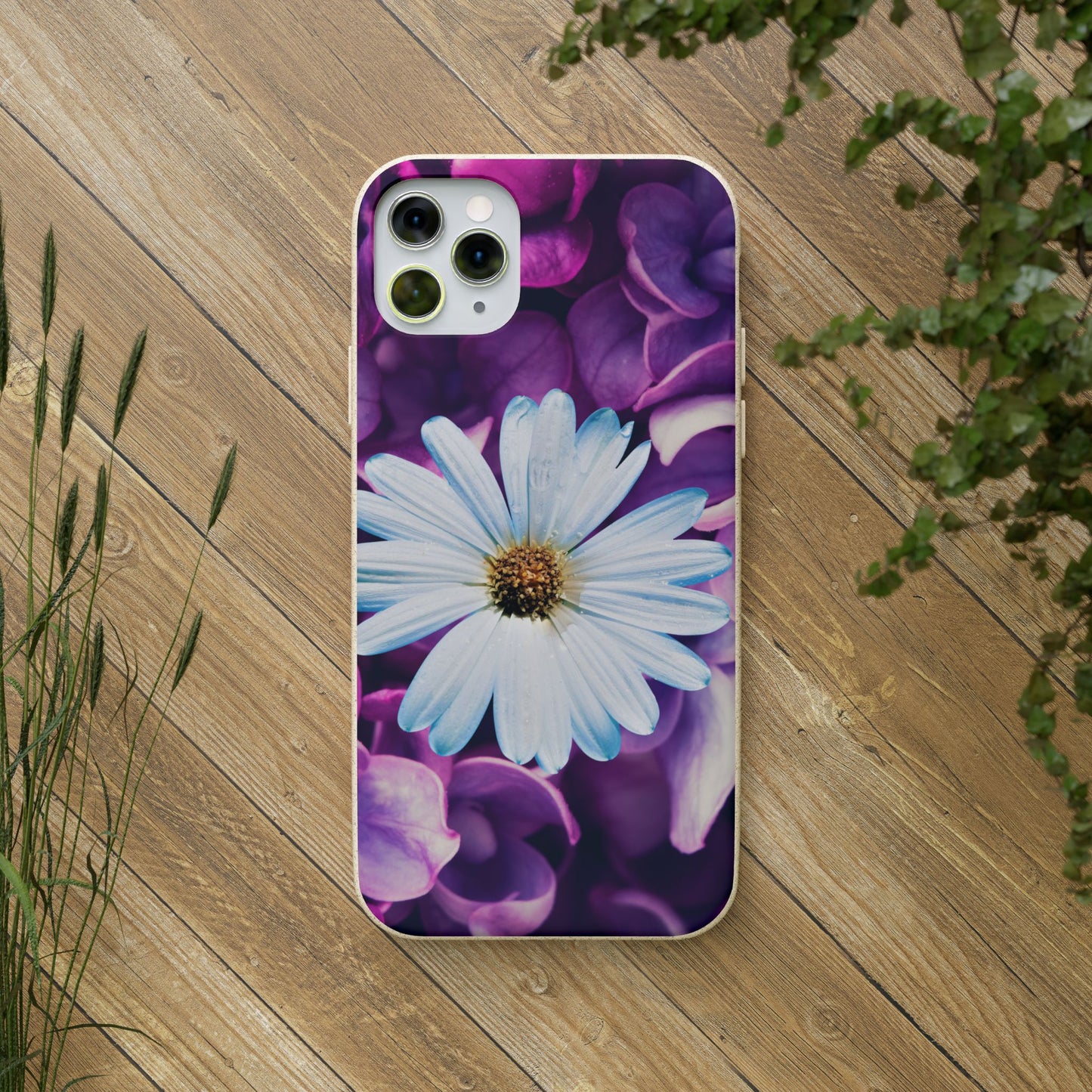 Biodegradable Cases- Daisy Design