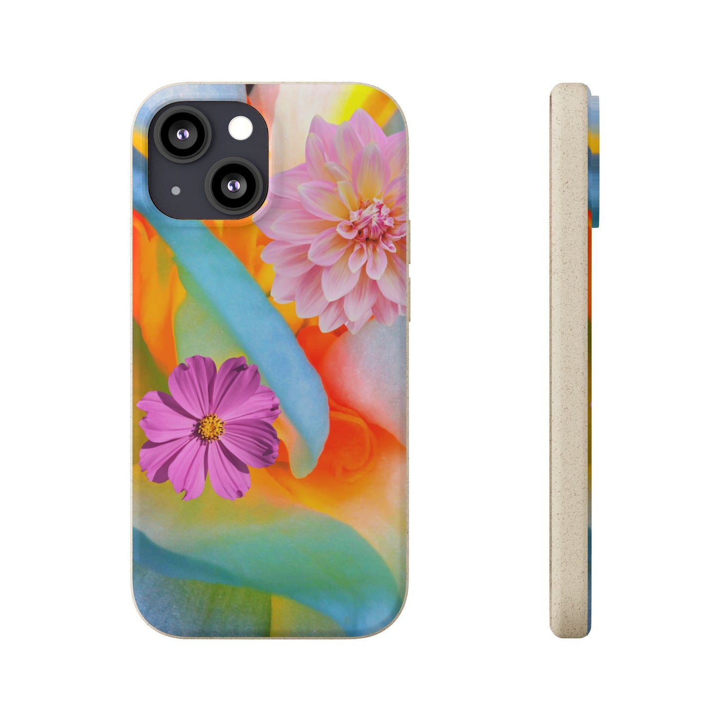 Biodegradable Cases- Sustainable & Colorful