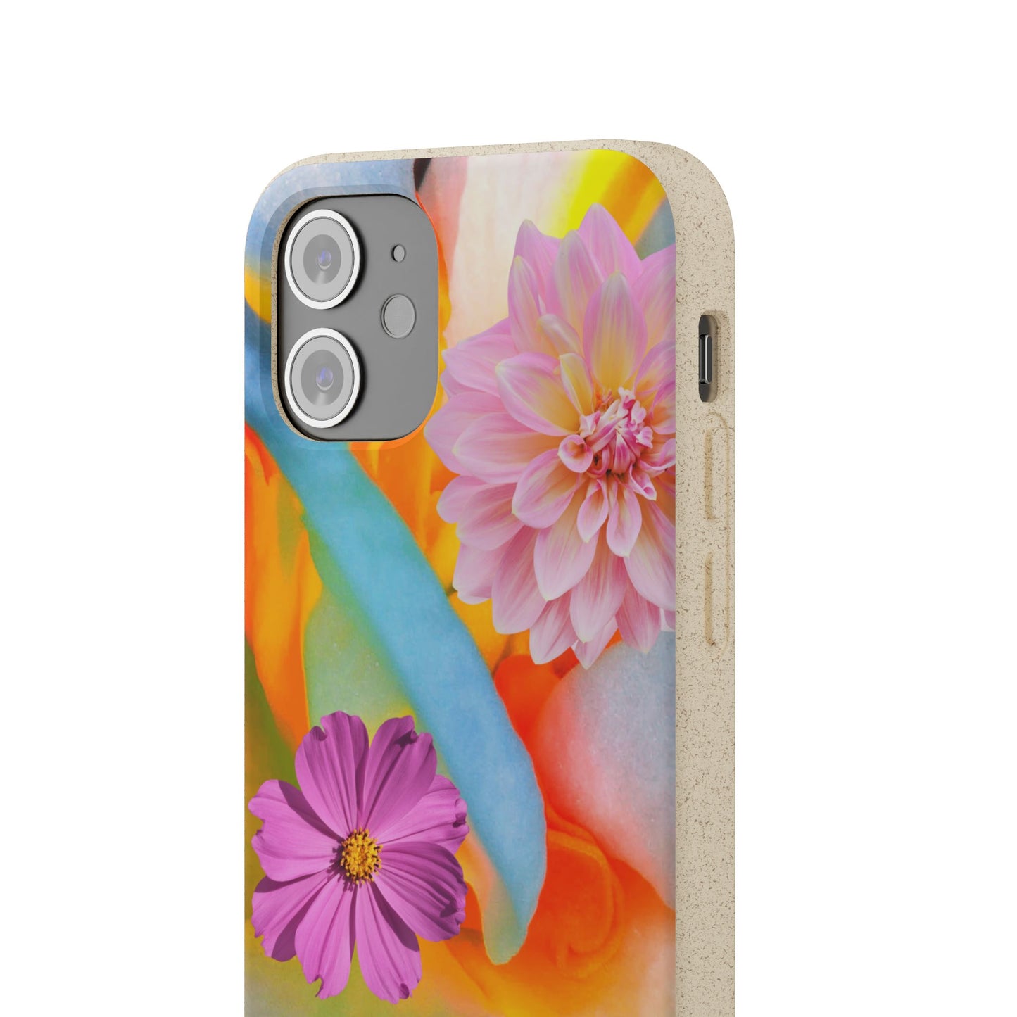 Biodegradable Cases- Sustainable & Colorful