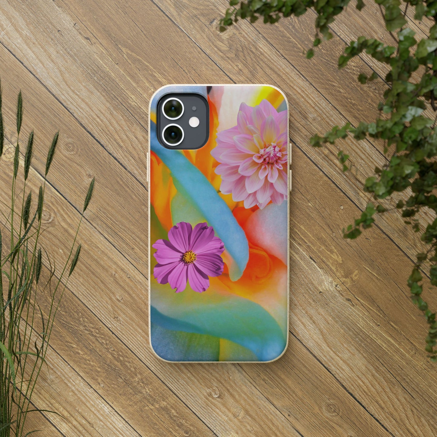 Biodegradable Cases- Sustainable & Colorful