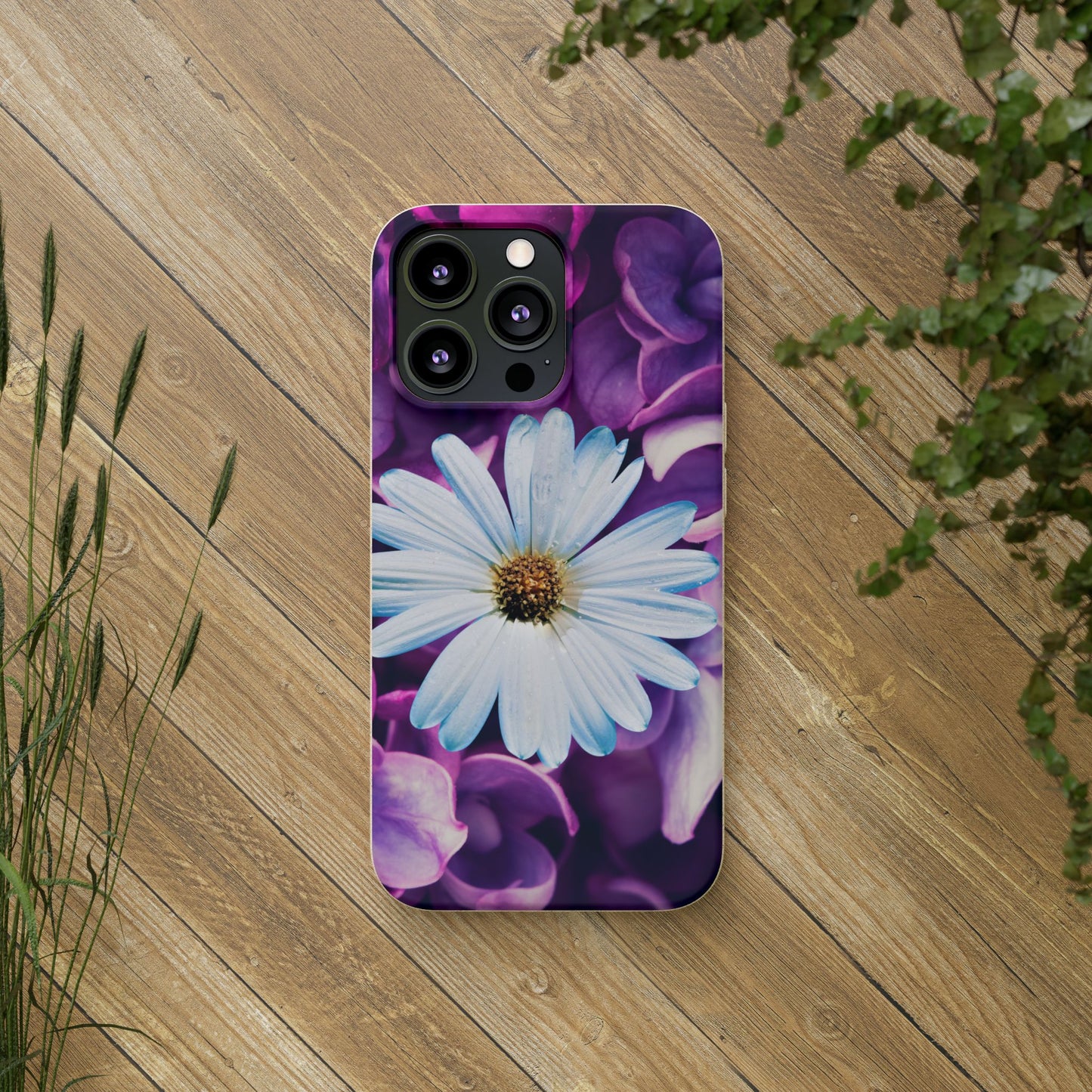 Biodegradable Cases- Daisy Design