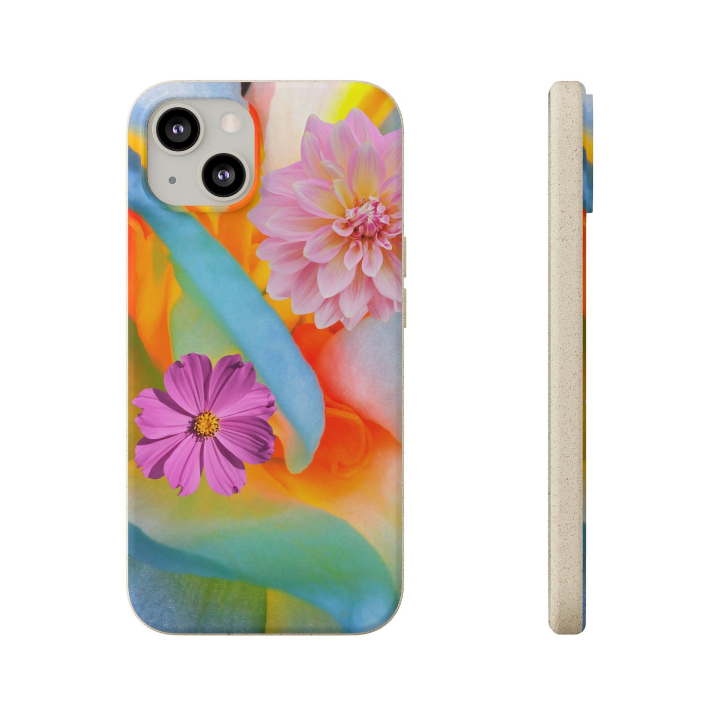 Biodegradable Cases- Sustainable & Colorful