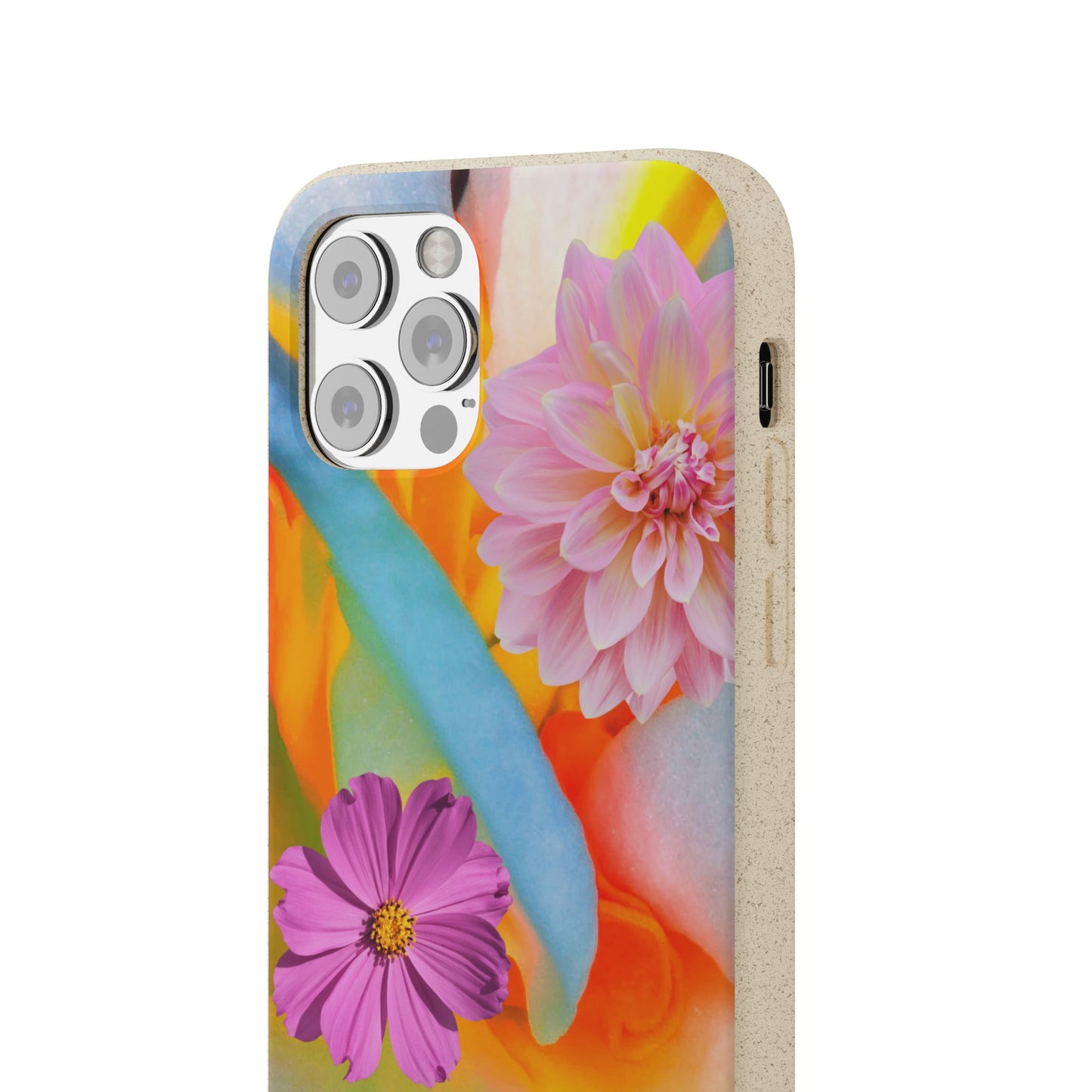 Biodegradable Cases- Sustainable & Colorful