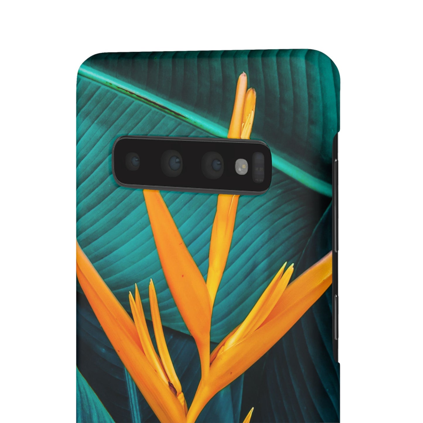 Snap Case- Botanical