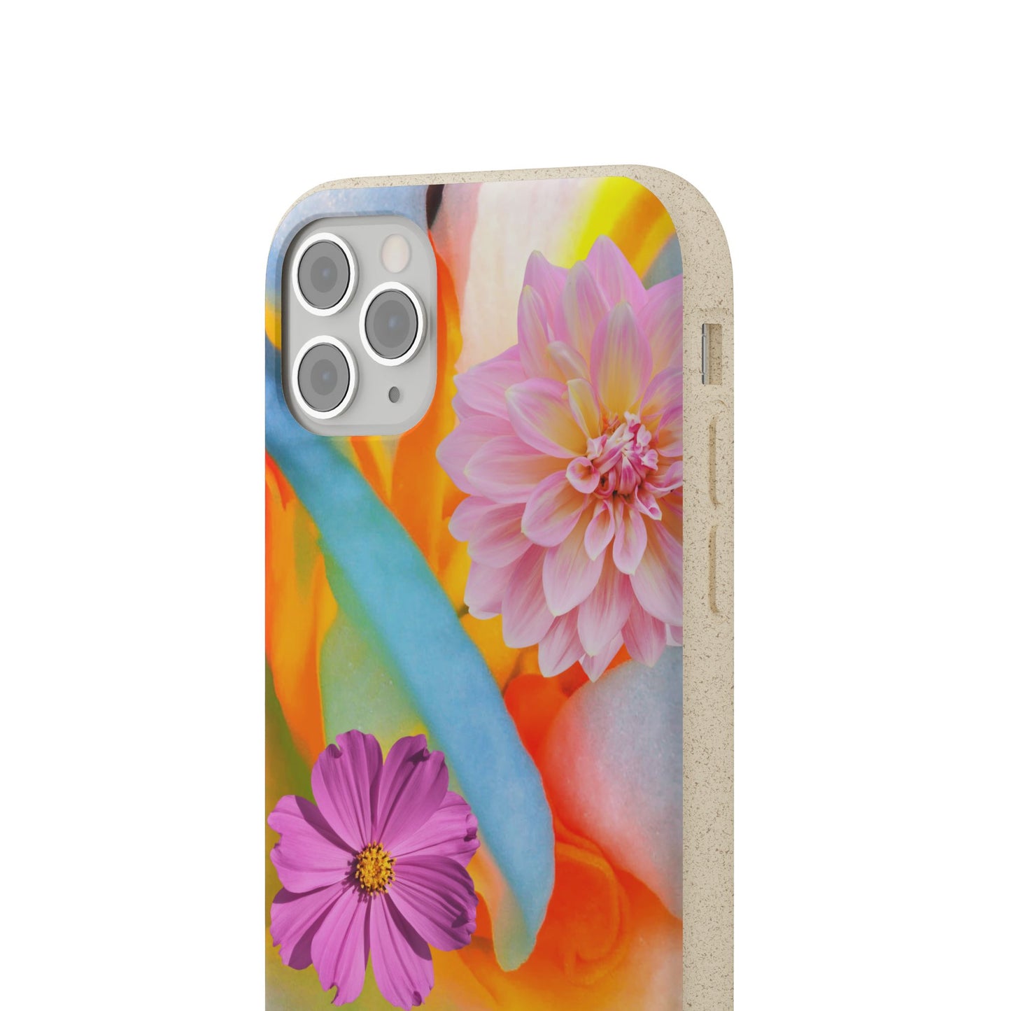 Biodegradable Cases- Sustainable & Colorful