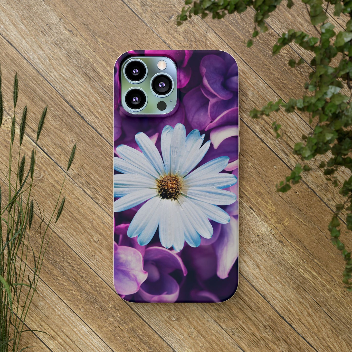 Biodegradable Cases- Daisy Design