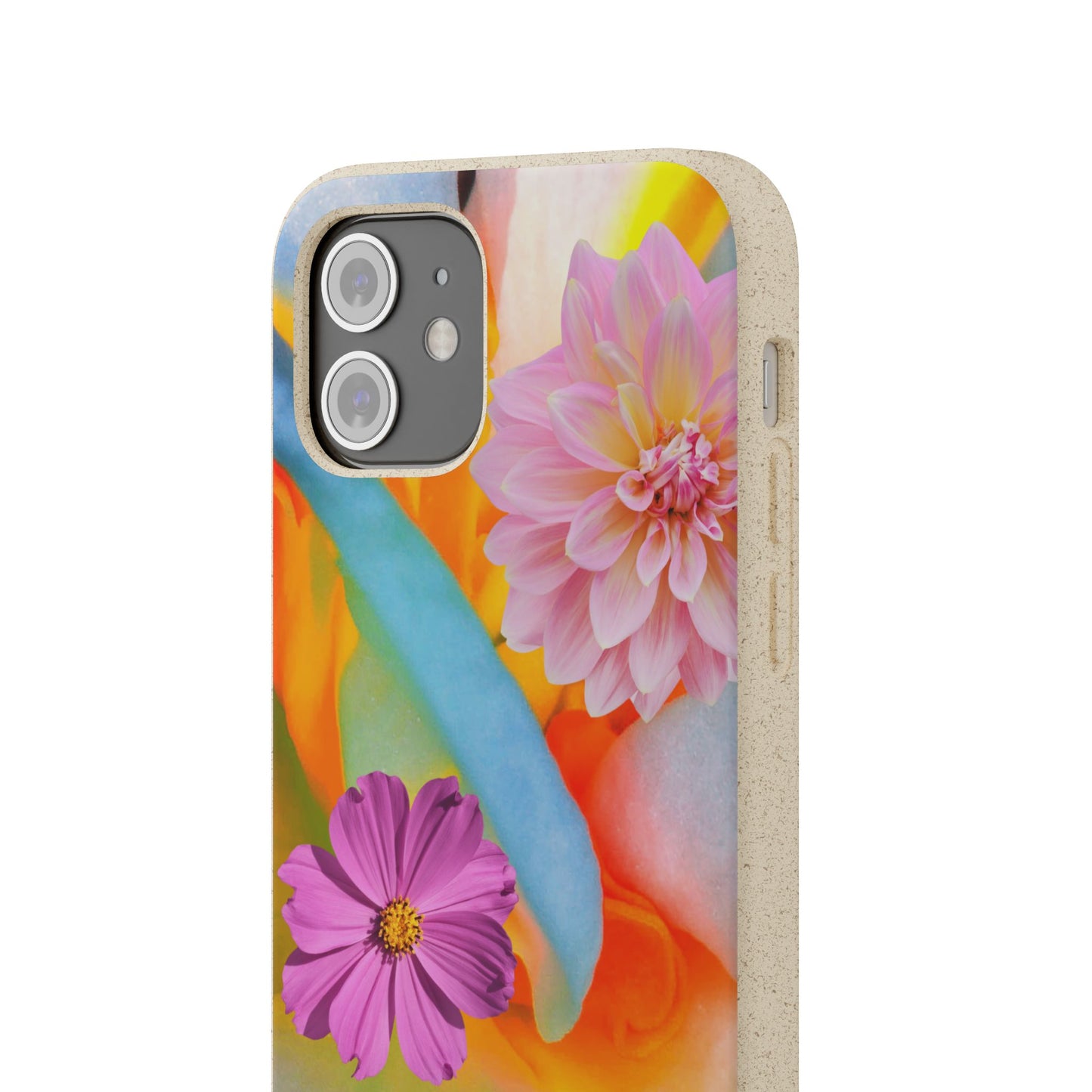 Biodegradable Cases- Sustainable & Colorful