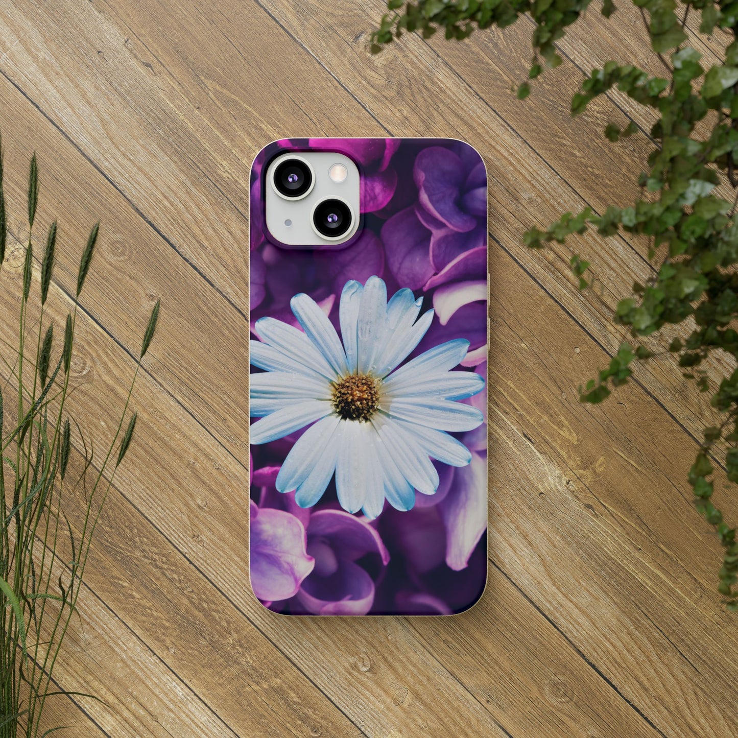 Biodegradable Cases- Daisy Design