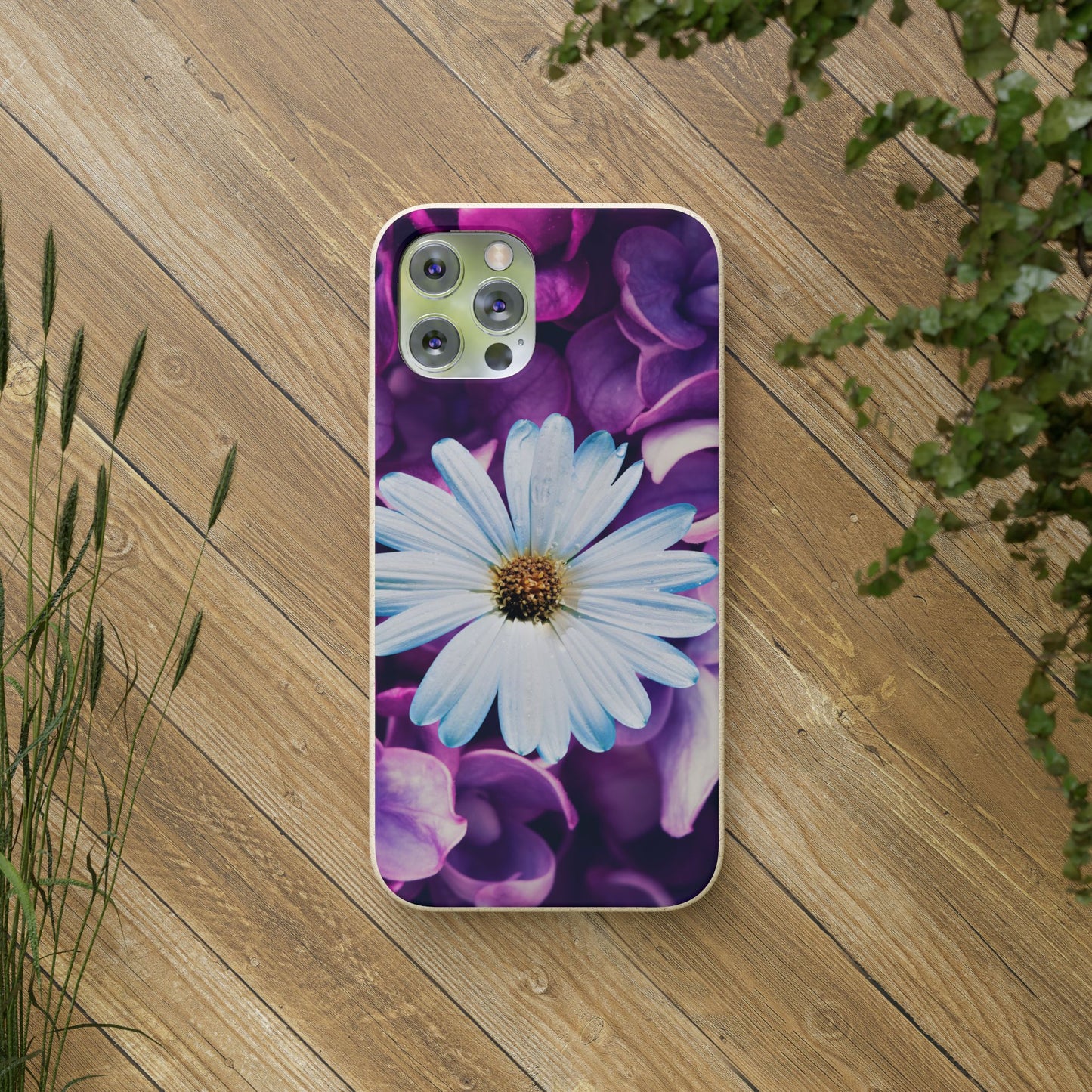 Biodegradable Cases- Daisy Design